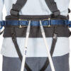 Full Harness with Back Attachment
